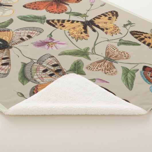 Couverture Sherpa Collection de la papillon Moth Nature Dessin (3/4)