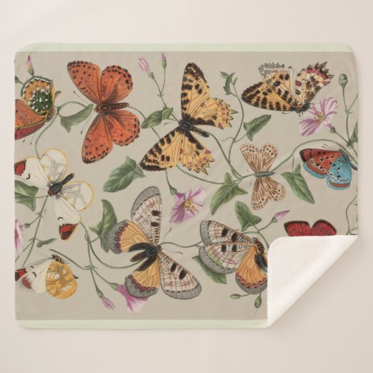 Couverture Sherpa Collection de la papillon Moth Nature Dessin (Devant (Horizontal))