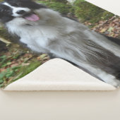 COUVERTURE SHERPA COLLIE FRONTALIÈRE (3/4)