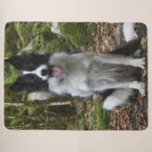 COUVERTURE SHERPA COLLIE FRONTALIÈRE (Devant (Horizontal))