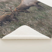 COUVERTURE SHERPA COMBATTRE LES CERFS (3/4)