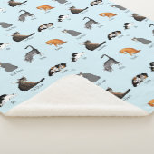 Couverture Sherpa Commandes Cat (3/4)