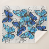Couverture Sherpa Composition des White and Blue Butterflies (Devant (Horizontal))