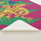 Couverture Sherpa Contrada del Drago (Dragon) Palio di Siena (3/4)