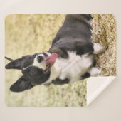 Couverture Sherpa Corgi (Devant (Horizontal))