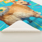 Couverture Sherpa Corgi Butt Birthday Hat (3/4)