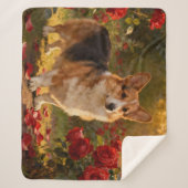 Couverture Sherpa Corgi dans les Roses V (Devant)