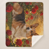 Couverture Sherpa Corgi dans les Roses VI (Devant)