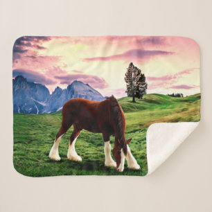 Couverture Sherpa Coucher du soleil de Clydesdale