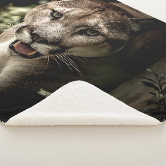 COUVERTURE SHERPA COUGAR (3/4)