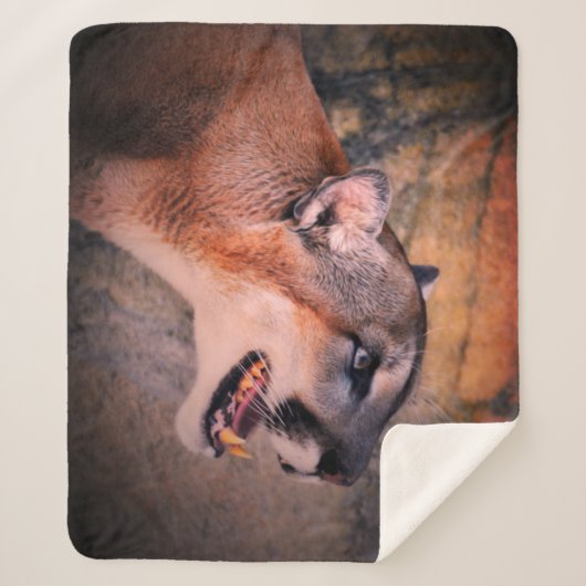 Couverture Sherpa Cougar  (Devant)