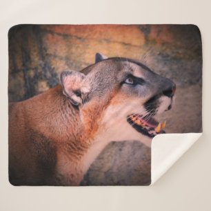 Couverture Sherpa Cougar
