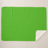 Couverture Sherpa Couleur solide verte Kelly (Devant (Horizontal))