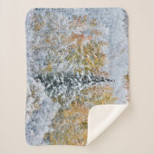 Couverture Sherpa Couleurs automnales des Aspens et du col Keebler (Devant)