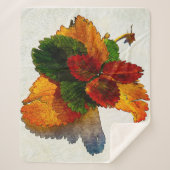 Couverture Sherpa Couleurs colorées des feuilles d'automne (Devant)