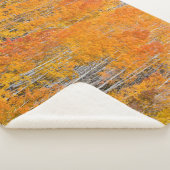 Couverture Sherpa Couleurs d'automne sur Aspen Groves (3/4)