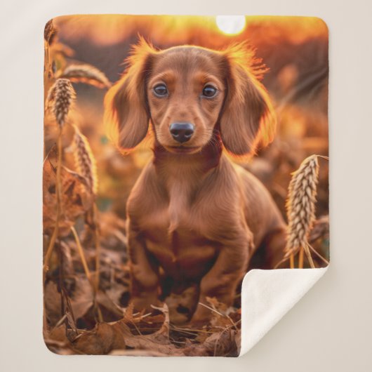 Couverture Sherpa Coupe Dachshund d'automne (Devant)