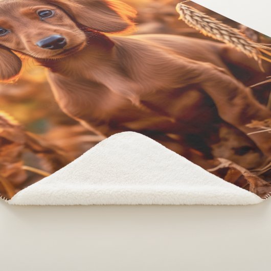 Couverture Sherpa Coupe Dachshund d'automne (3/4)