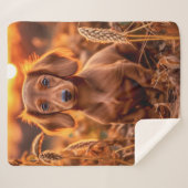 Couverture Sherpa Coupe Dachshund d'automne (Devant (Horizontal))