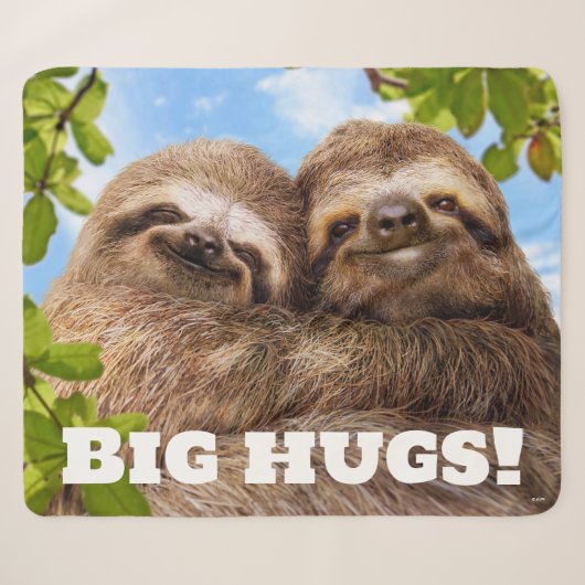Couverture Sherpa Couple de paresseux (Devant (Horizontal))