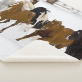 Couverture Sherpa Courir des chevaux sur le ranch Hideout (3/4)