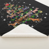 Couverture Sherpa Covered By Flashlight (3/4)