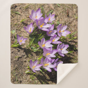 Couverture Sherpa Crocus de printemps mignons
