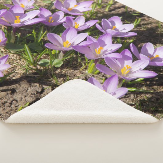 Couverture Sherpa Crocus de printemps mignons (3/4)