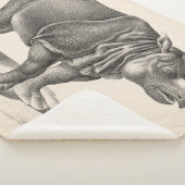 Couverture Sherpa Croquis Brodtmann Rhinoceros (3/4)