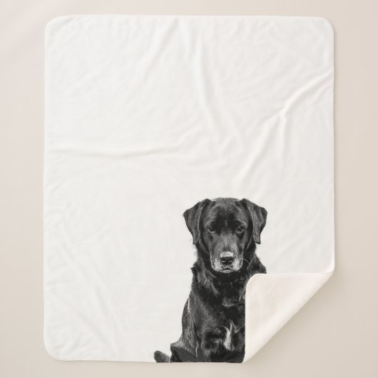 Couverture Sherpa Cuisine Labrador Chien noir Chien Chien Chien Chie (Devant)