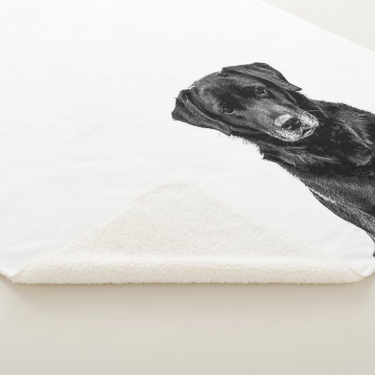 Couverture Sherpa Cuisine Labrador Chien noir Chien Chien Chien Chie (3/4)