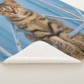 Couverture Sherpa Cuisine Nosy Tabby Chat Kitten assis dans une clôt (3/4)