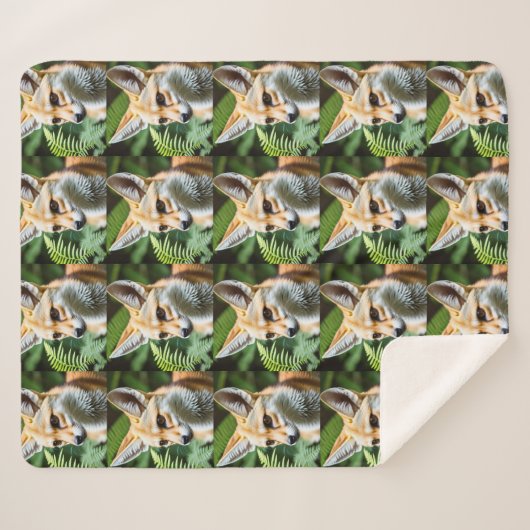 Couverture Sherpa Cunning Fennec Fox, (Devant (Horizontal))