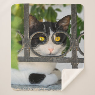 Couverture Sherpa Curieux Yeux de chats avec Spectacles Cadre photo 