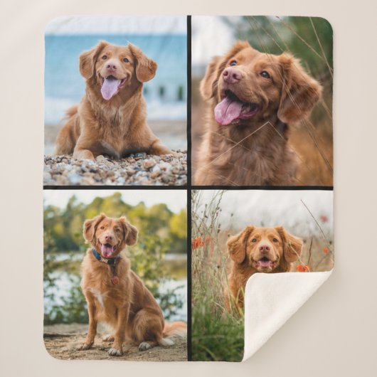 Couverture Sherpa Custom Modern 4 Photo Collage Chien (Devant)