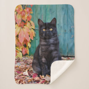 Couverture Sherpa Cute chaton noir avec porte bleue Feuille rouge,