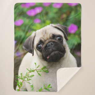 Couverture Sherpa Cute Fawn couleur Carlin Chien Chien Chien Chien V