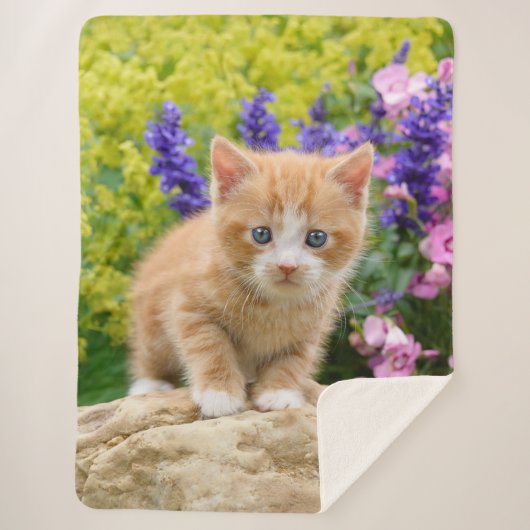 Couverture Sherpa Cute Fluffy Ginger Baby Cat Kitten à Flowers Pet (Devant)