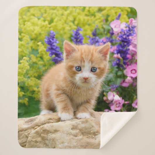 Couverture Sherpa Cute Fluffy Ginger Baby Cat Kitten Flowers Animal  (Devant)