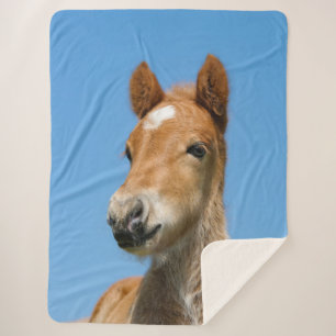 Couverture Sherpa Cute Islandais Horse Foal Pony Head Front Photo —