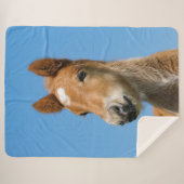 Couverture Sherpa Cute Islandais Horse Foal Pony Head Front Photo — (Devant (Horizontal))
