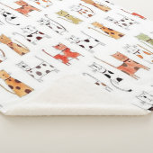 Couverture Sherpa Cute Kitties Sherpa Blanket (3/4)