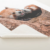 COUVERTURE SHERPA CUTE KOALA BEAR FAMILLE (3/4)