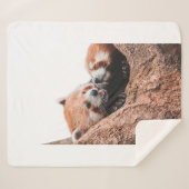 COUVERTURE SHERPA CUTE KOALA BEAR FAMILLE (Devant (Horizontal))
