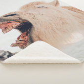 COUVERTURE SHERPA CUTE LAMA ALPACA RIRE (3/4)