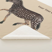 Couverture Sherpa Cute Polka Dot Zebra (3/4)