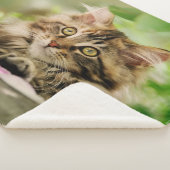 Couverture Sherpa Cute Tabby Maine Coon Chat Kitten Fluffé Tête Phot (3/4)