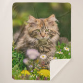 Couverture Sherpa Cute Tabby Maine Coon Kitten Chat Animal Tête Phot (Devant)
