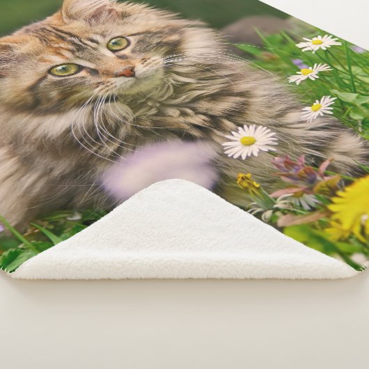 Couverture Sherpa Cute Tabby Maine Coon Kitten Chat Animal Tête Phot (3/4)
