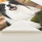 Couverture Sherpa Cutest Baby Animals | Black and White Border Colli (3/4)